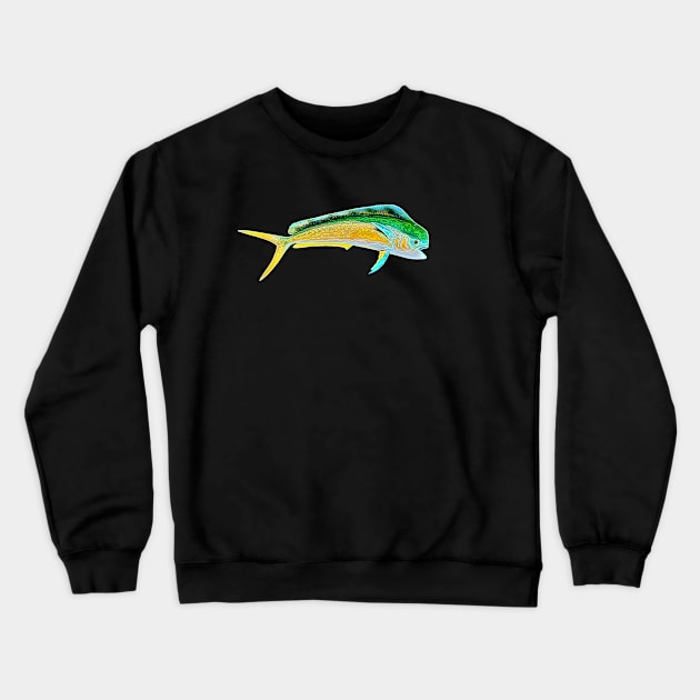 Mahi Mahi Line Art Design Crewneck Sweatshirt by PhotoArts